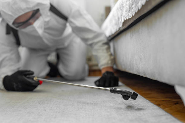 Professional Cockroach Control technician working in Lakeland Highlands, FL